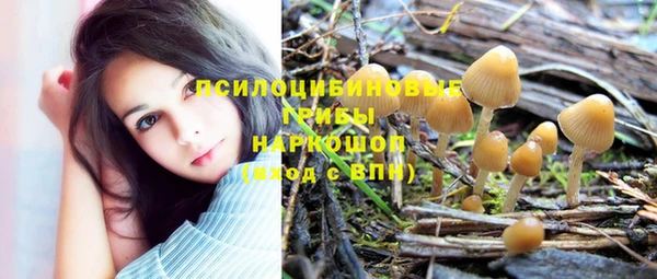 гашишное масло Краснослободск