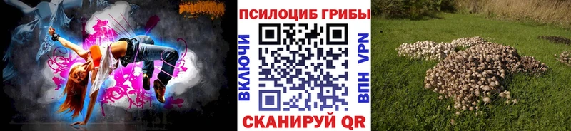 Псилоцибиновые грибы прущие грибы  Купить закладки  Тюкалинск 